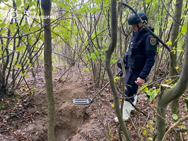 На Рівненщині грибник знайшов арсенал часів війни (фото)