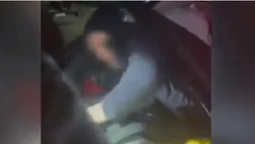 Жінка у багажнику «лексуса» намагалася вивезти з України чоловіка (відео)