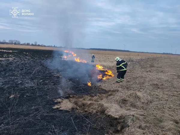Волинь палає: 8 пожеж за день через недбалість (фото)