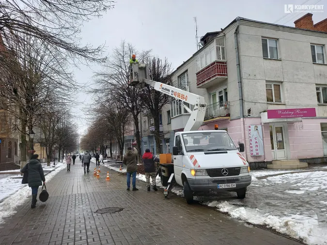 У Луцьку тестують «правильне» кронування дерев (фото)