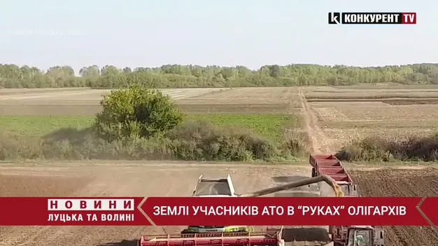 Волинський олігарх заволодів понад 100 гектарами землі, виділеної для атовців (відео)