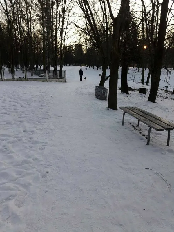 У Луцьку штрафували власників собак (фото)