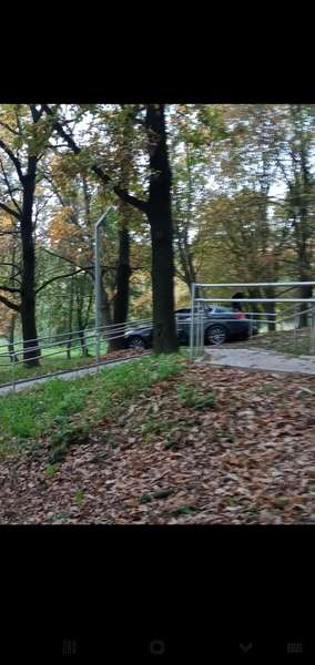 У луцькому парку «Дубки» легковик врізався в дерево (фото, відео)