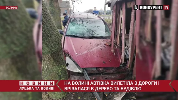 На Волині Ford на «євробляхах» протаранив сарай і дерево (фото, відео)
