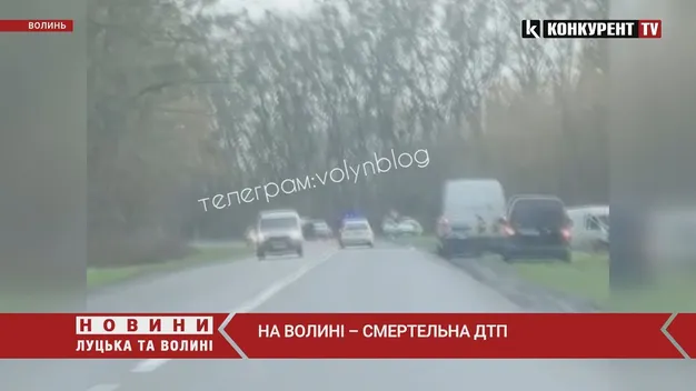 Водій загинув на місці: біля Луцька – смертельна аварія (відео)