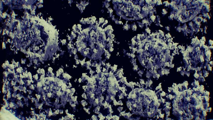 Вчені з Китаю створили детальну 3D-модель коронавірусу (відео)