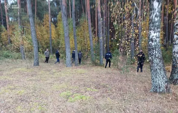 Пішла в ліс по гриби: на Волині зникла 74-річна бабця