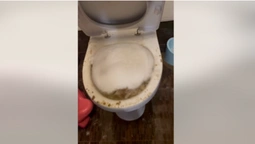 Сусіди викинули підгузок у туалет: у Луцьку квартира тоне у фекаліях (відео)