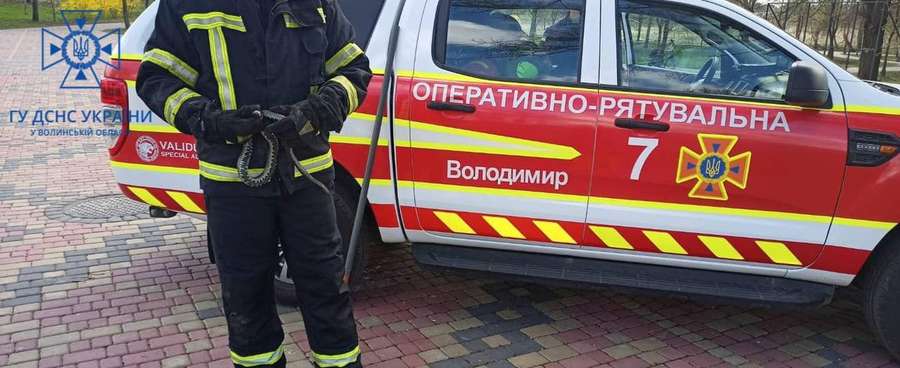 Холоднокровна знахідка на дитмайданчику налякала мешканців Володимира (фото)