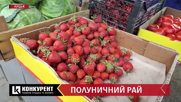 Кавуни за 300, полуниця – 60: які ціни на луцькому ринку та у супермаркетах (відео)