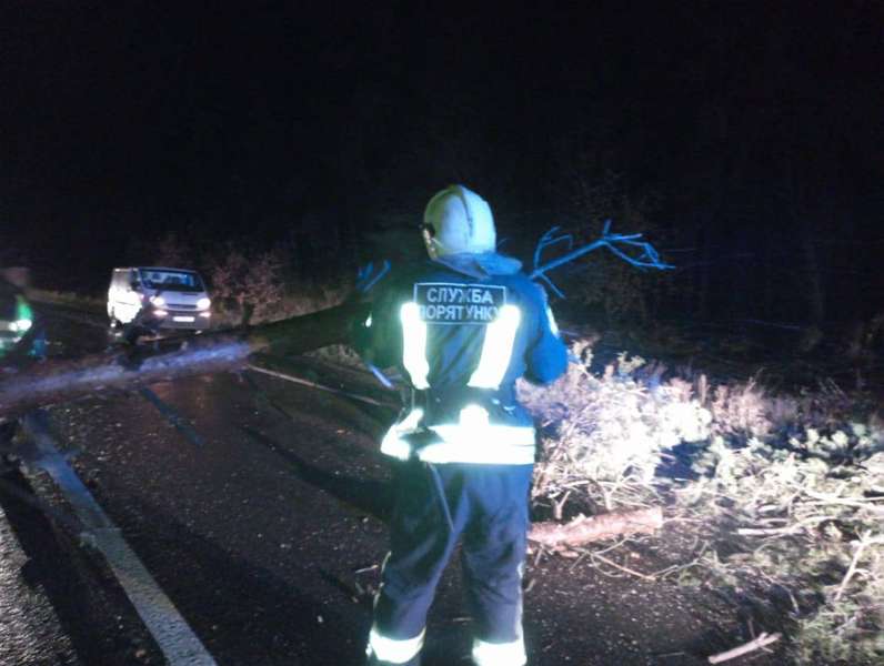 На Волині на дорогу пориви вітру повалили дерево – викликали рятувальників (фото)