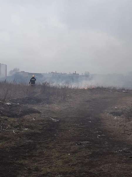 У Луцьку – пожежа біля Стиру (фото)
