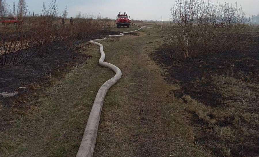 У Ратнівському районі борються з вогнем на торфовищі: допомагають місцеві (фото)