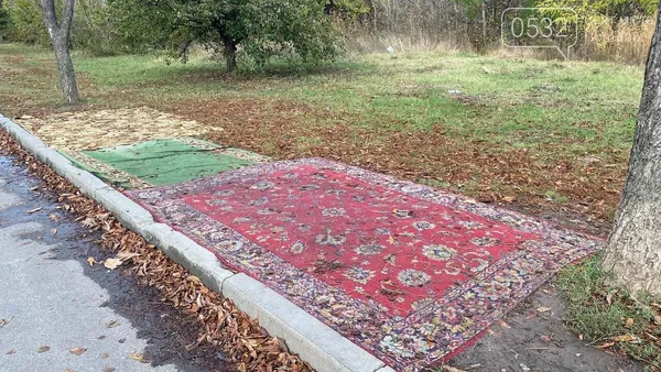 У Полтаві на зупинці постелили килими: хто і навіщо це зробив (фото)