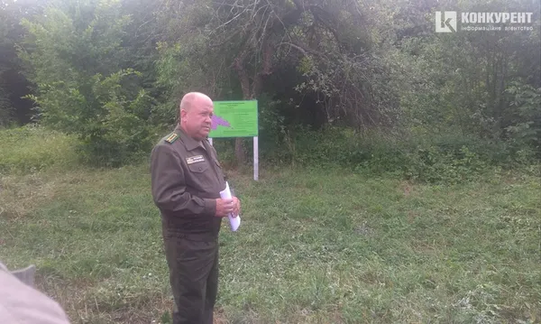 Ліс на Волині гине: його нищать шкідники і недосконалі закони