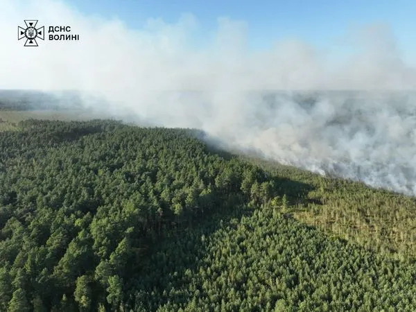 Охопила 10 га: на Камінь-Каширщині спалахнула лісова пожежа (фото)