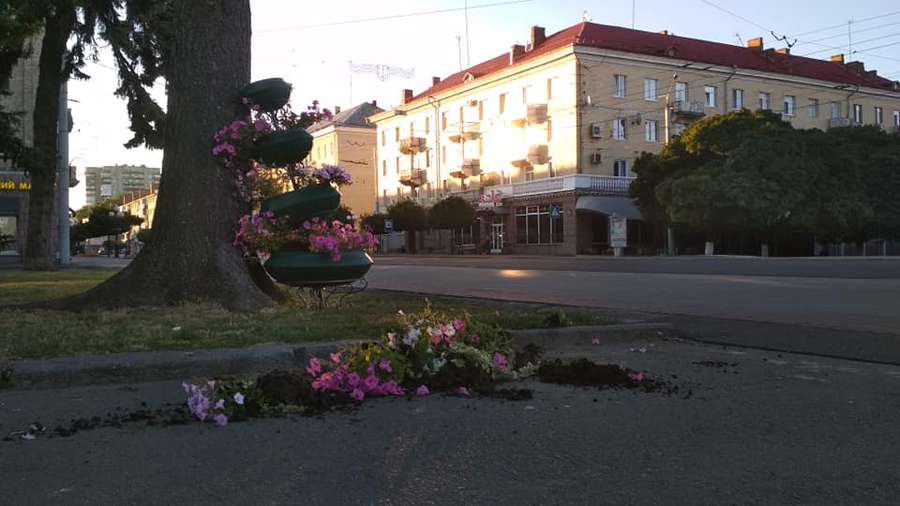 У Луцьку біля головного корпусу СНУ знищили квітники (фото)