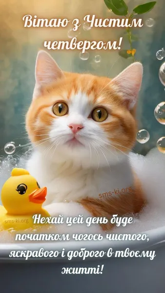 🕊️ З Чистим четвергом: милі привітання в картинках