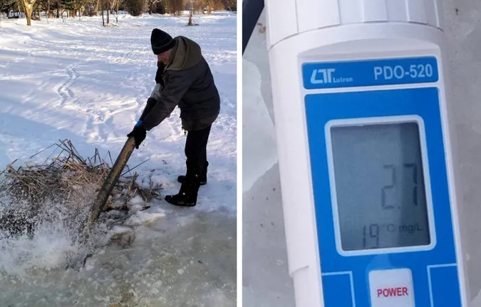 У центральному парку Луцька рятують рибу від задухи – рівень кисню критично низький (фото)