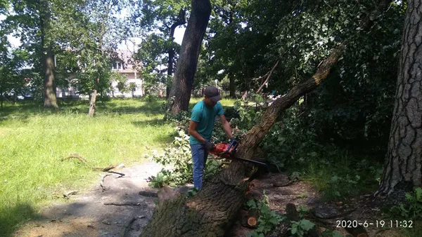 У Ківерцях буревій повалив дерева (фото)