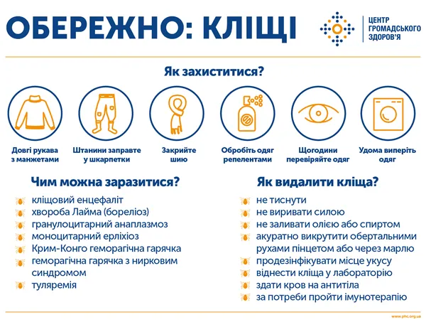 Вкусив кліщ: на Волині жінка захворіла на вірусний енцефаліт