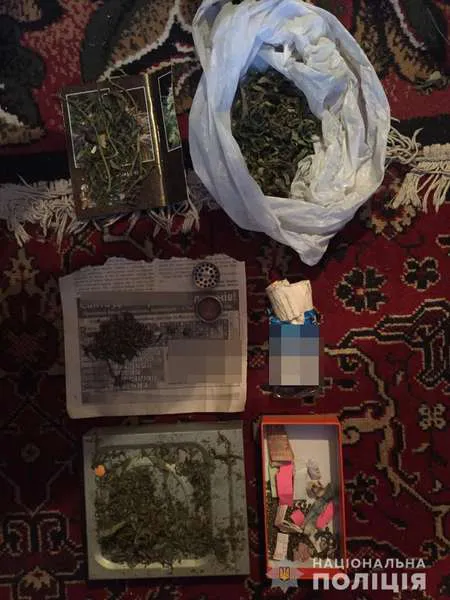 19-річного наркоторговця з Волині взяли під варту