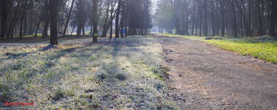 Луцький фотохудожник зазнімкував морозний ранок (фото)