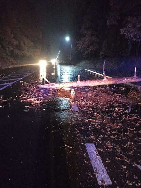 Неможливо проїхати: у Ківерцях буревій завалив на дорогу дерево (фото)