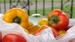 Луцький суд конфіскував у пенсіонерки майже 70 кілограмів овочів та фруктів (відео)