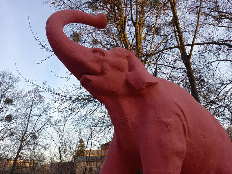 У Луцьку перефарбували відомого слоника: яким він став (фото)