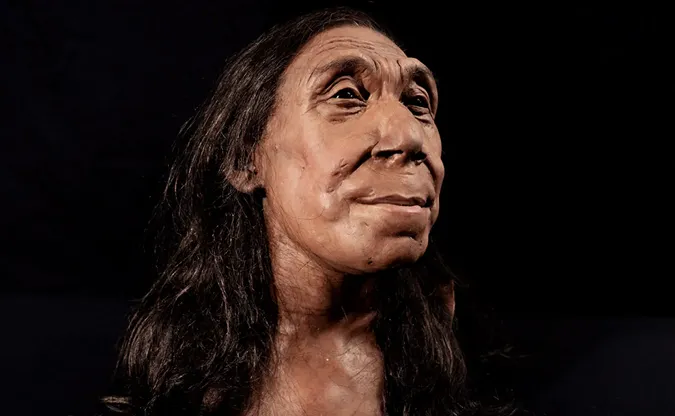 Учені реконструювали обличчя неандерталки, яка жила 75 тисяч років тому