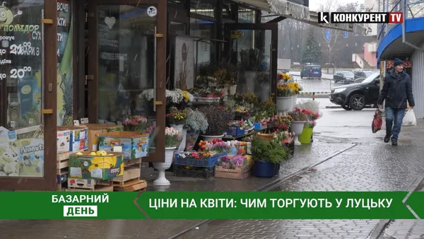 Тюльпани, хризантеми,  еустоми та троянди: скільки коштують квіти у Луцьку (відео)