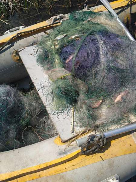 На Волині вилучили понад 100 рибальських сіток на одному озері (ФОТО, ВІДЕО)