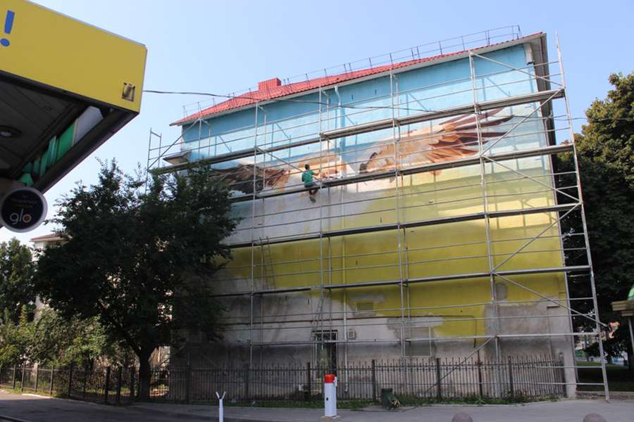 На фасаді волинського університету буде новий мурал