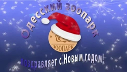 Директор Одеського зоопарку зняв новорічне привітання в костюмі свині (відео)