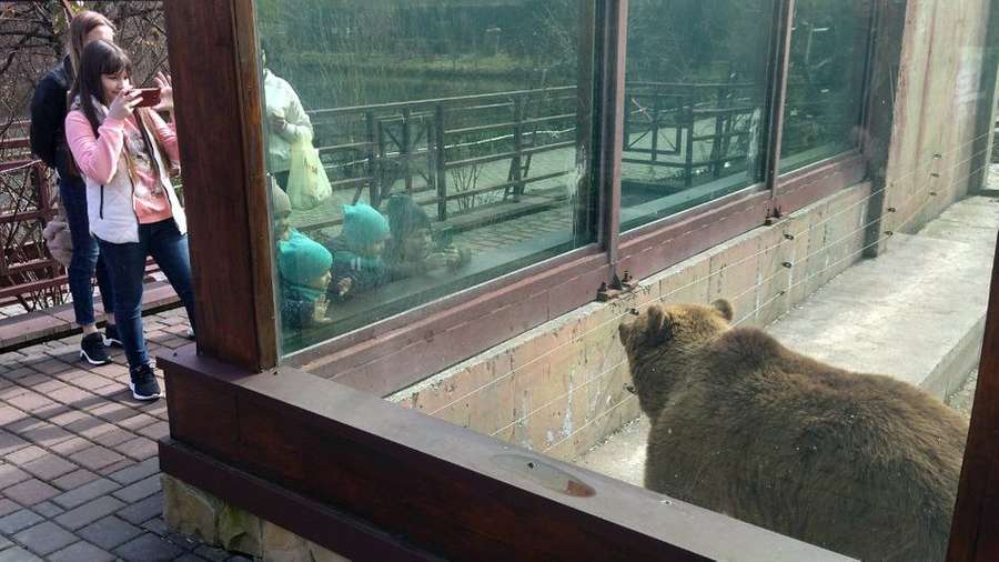 У Луцькому зоопарку знову проводять екскурсії (фото, відео)
