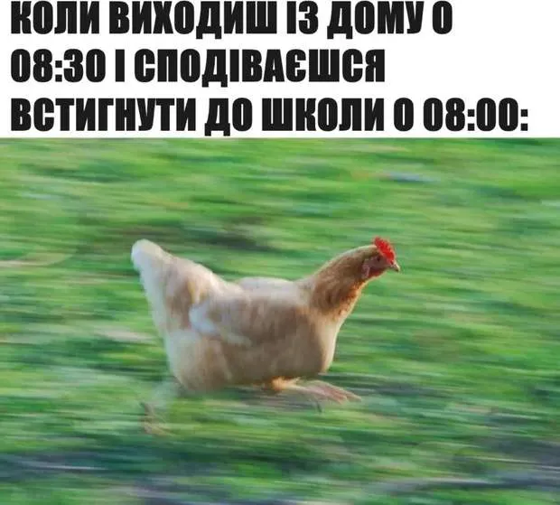 Найсмішніші меми про кінець навчального року