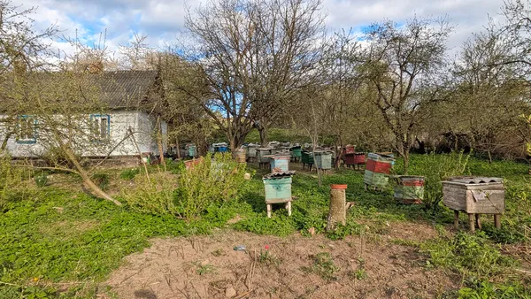 Сади чехів та покинуті хати: показали красу зниклих волинських хуторів (фото)