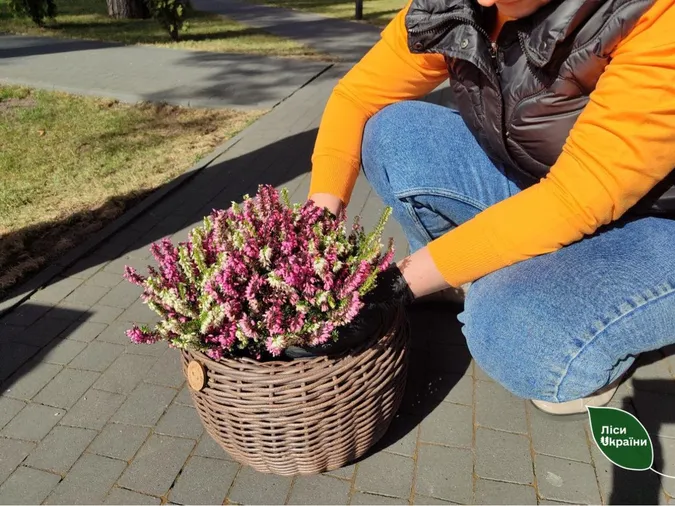🌿Сезон шашликів на природі стартував: як чепурять пункти відпочинку на Волині (фото)