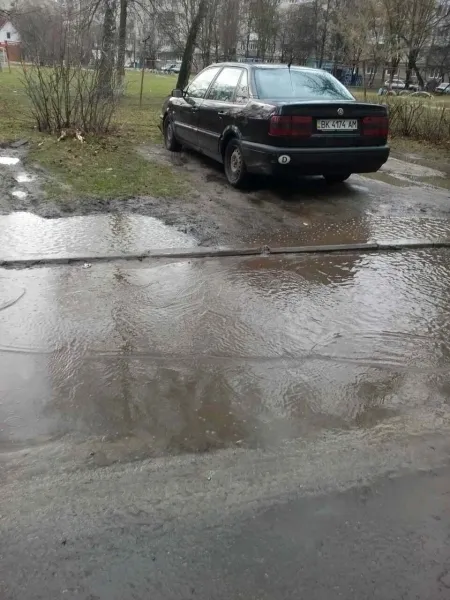 Луцькі муніципали «полюють»  на порушників правил паркування (фото)