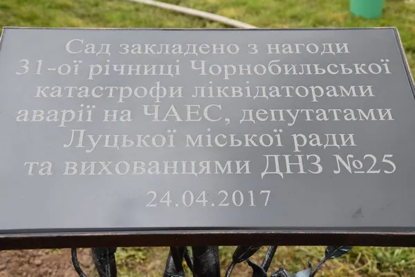У луцькому дитсадку посадили дерева (фото)