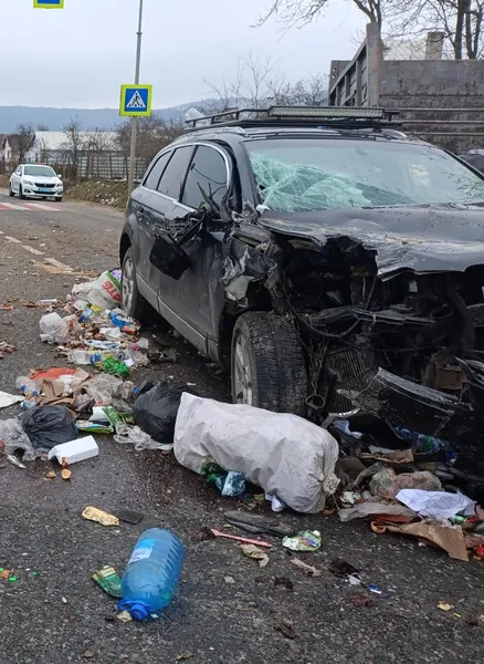 З кузова випав чоловік і купа сміття: на Львівщині Audi зіткнулася з «газоном» (фото)