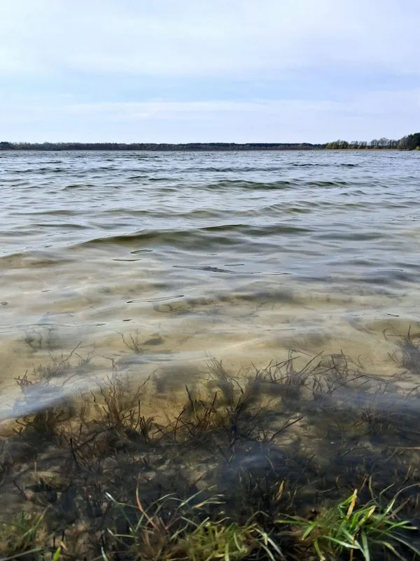 Весна на Шацьких озерах: місцеві показали неймовірні краєвиди (фото)