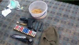 Вдома у волинянина знайшли зброю і бурштин (фото)