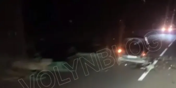 На Волині автомобіль врізався у віз з кіньми (відео)
