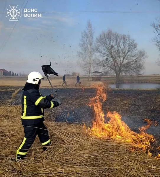 Пожежа сухої трави на Волині ледь не зачепила будівлі поряд (фото)