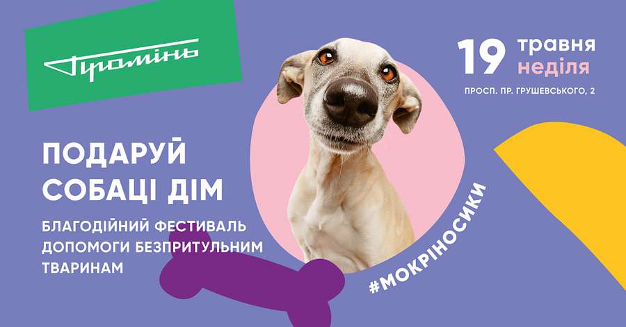 #мокріносики: у «Промені» організовують фестиваль безпритульних собак*