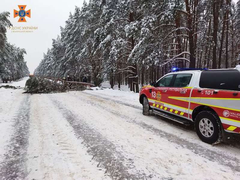 Негода на Волині: рятувальники звільняють дороги від повалених дерев (фото)