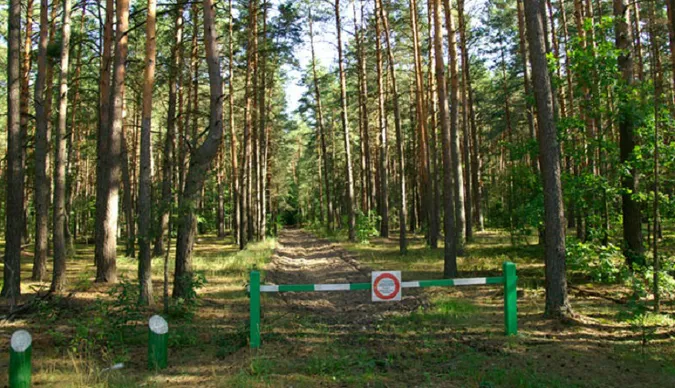 На Волині заборонили в’їзд автотранспорту в ліс