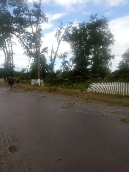 Негода на Волині порозкривала хати та повалила дерева (фото, відео)